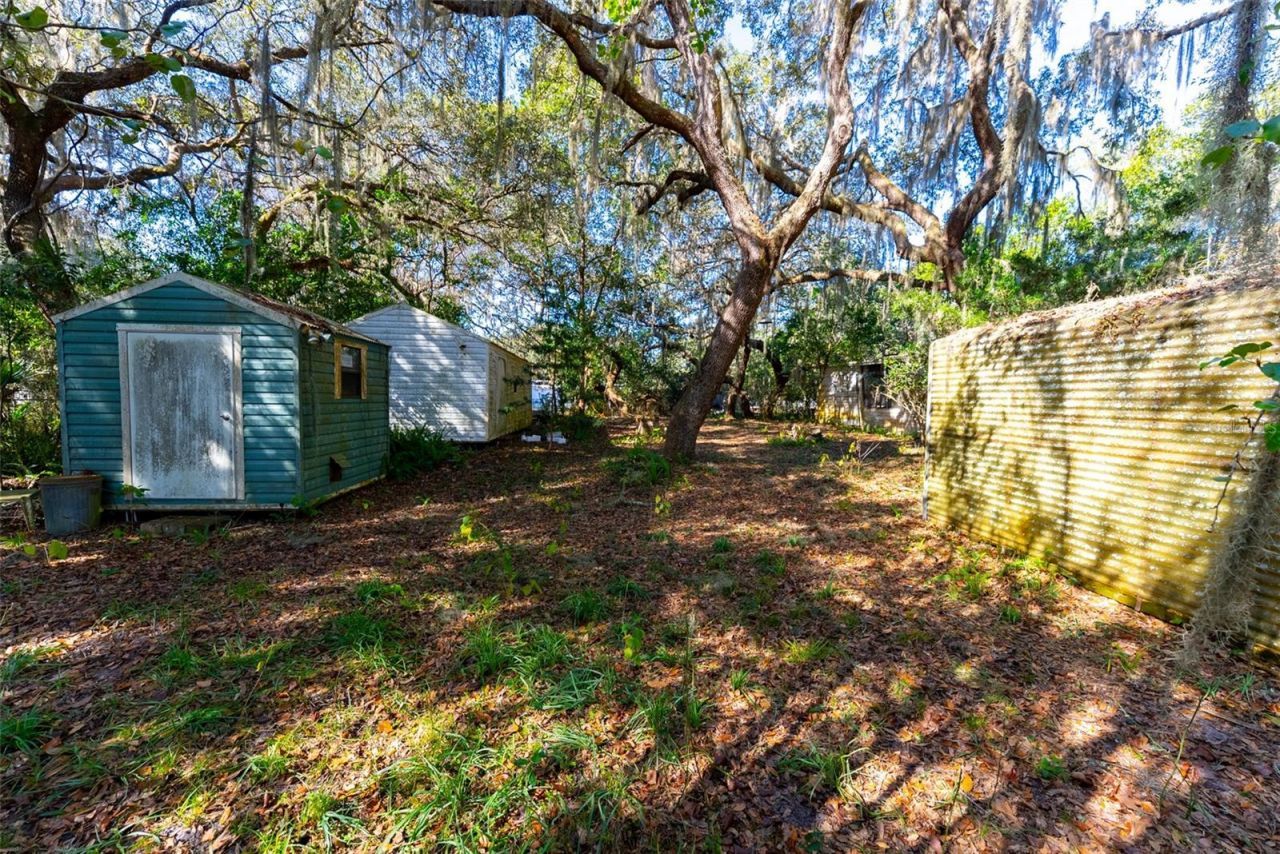24971 NE 135th Street, Salt Springs, FL 32134 Photo