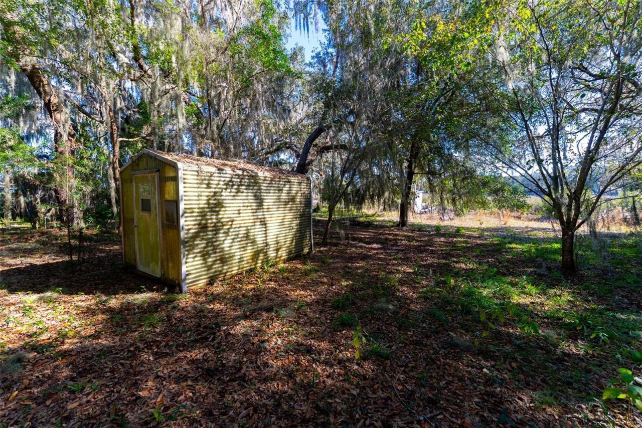 24971 NE 135th Street, Salt Springs, FL 32134 Photo