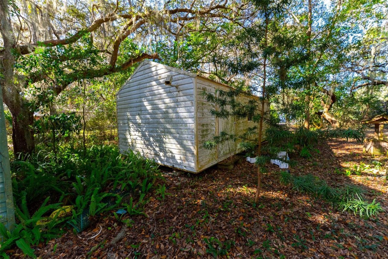 24971 NE 135th Street, Salt Springs, FL 32134 Photo