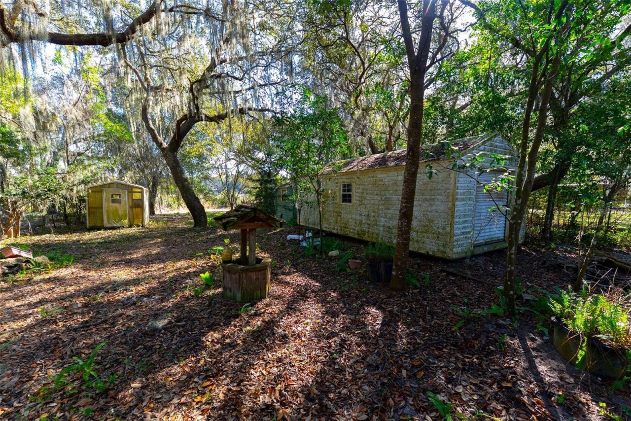 24971 NE 135th Street, Salt Springs, FL 32134 Photo