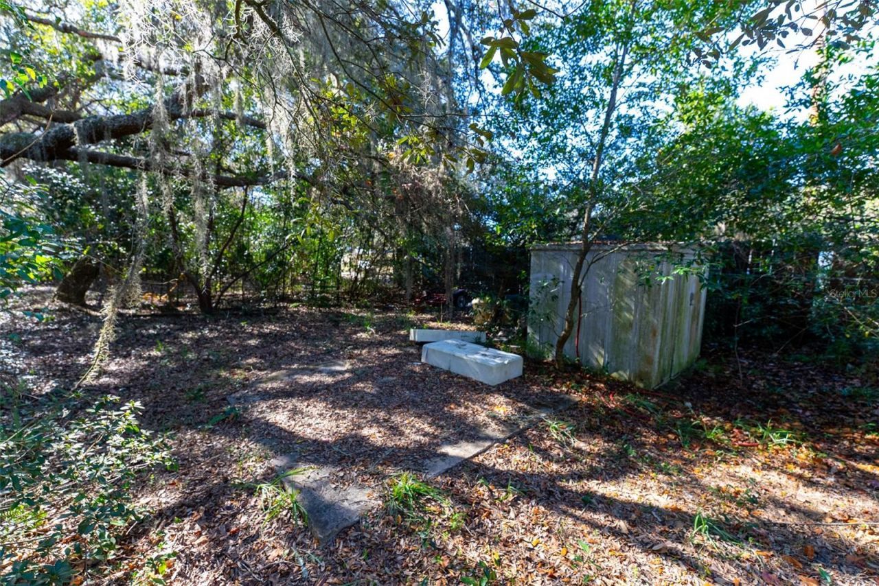 24971 NE 135th Street, Salt Springs, FL 32134 Photo
