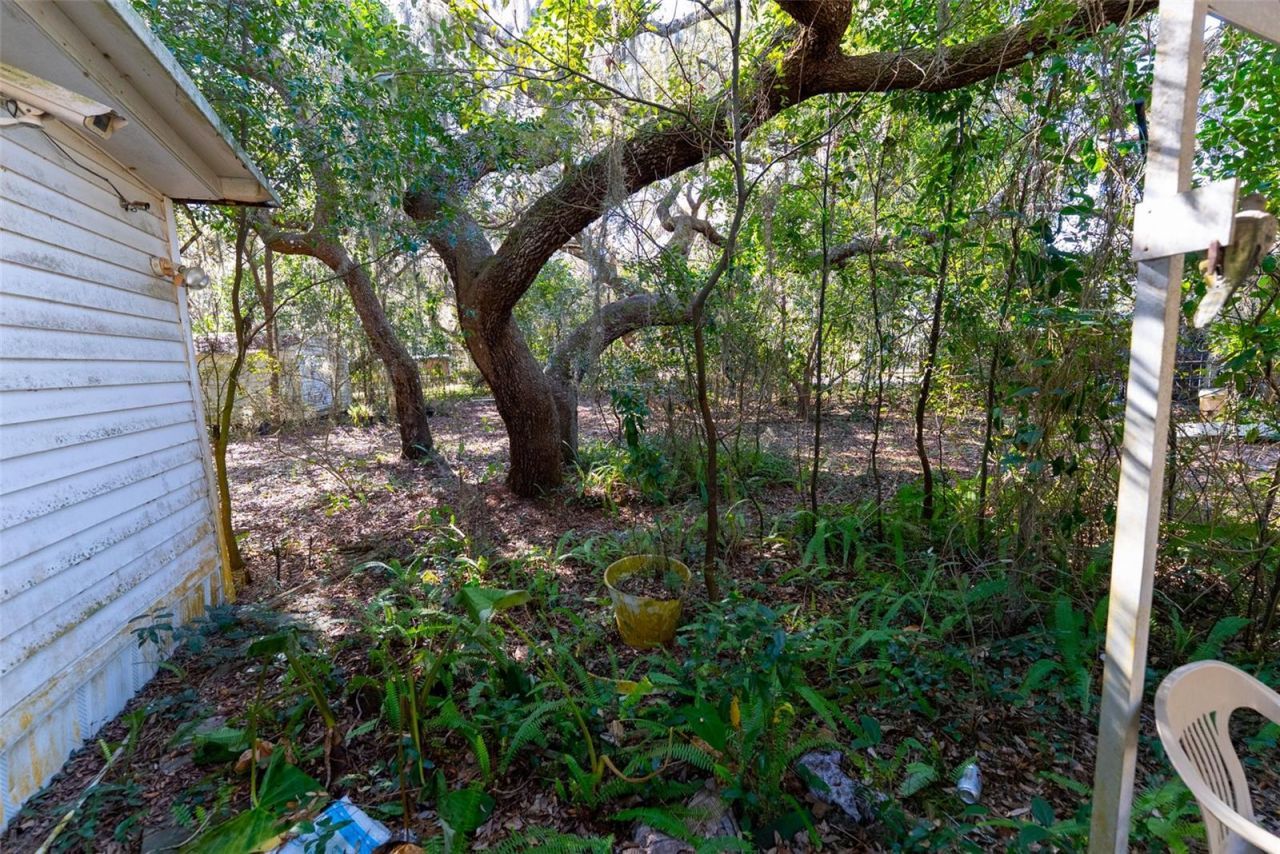 24971 NE 135th Street, Salt Springs, FL 32134 Photo