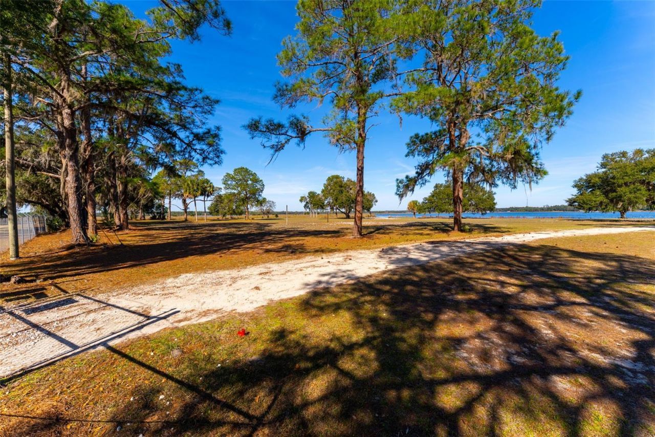 24971 NE 135th Street, Salt Springs, FL 32134 Photo