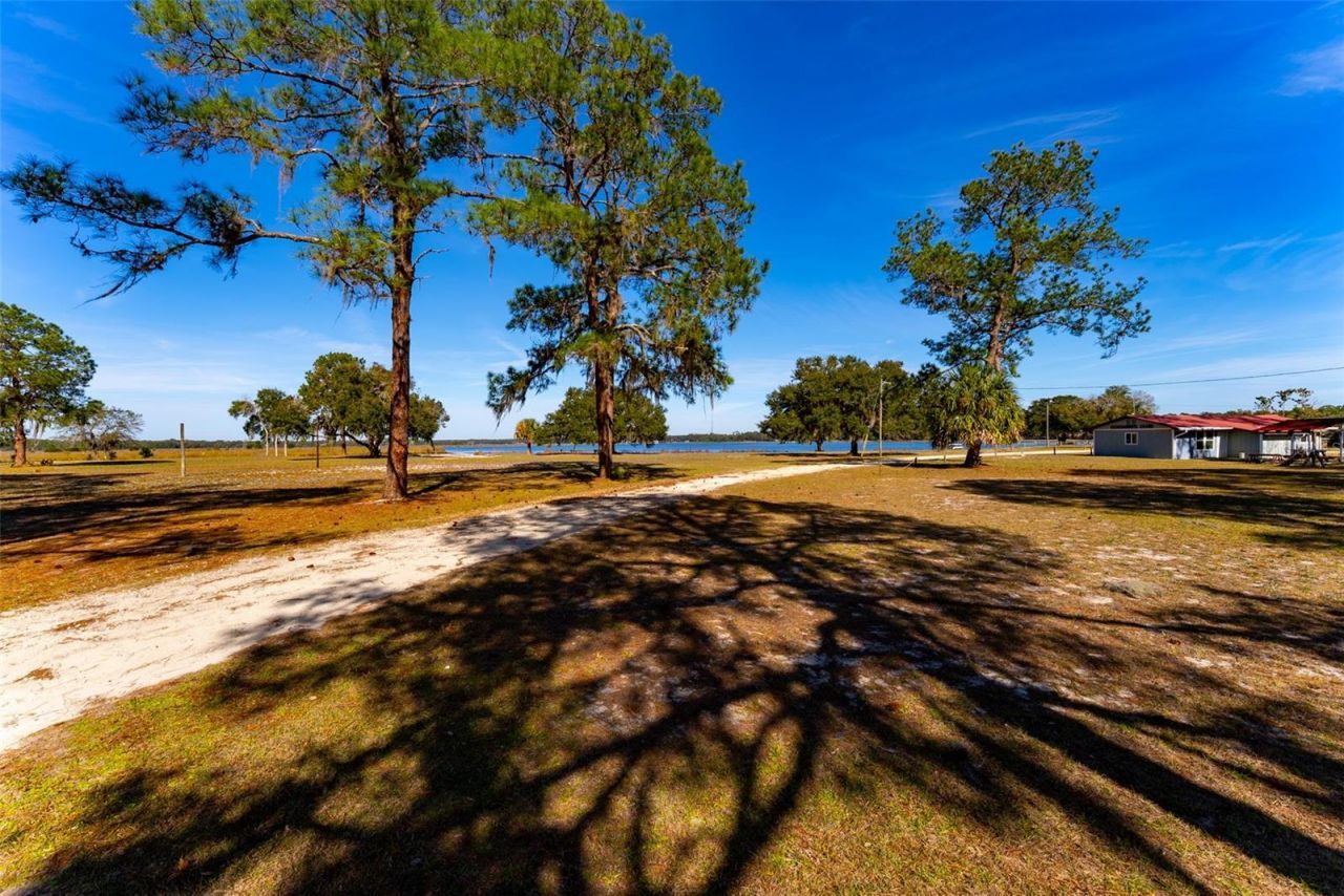 24971 NE 135th Street, Salt Springs, FL 32134 Photo