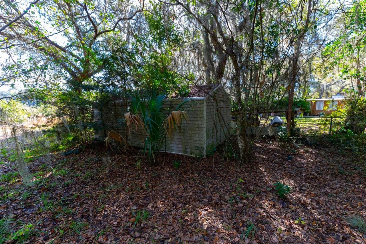 24971 NE 135th Street, Salt Springs, FL 32134 Photo