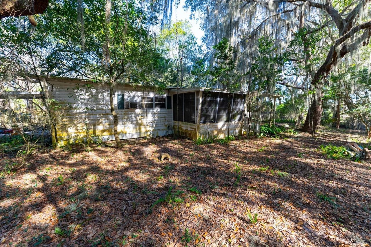 24971 NE 135th Street, Salt Springs, FL 32134 Photo