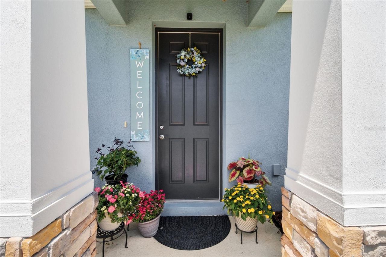2421 Hearth Drive, Odessa, FL 33556 Photo