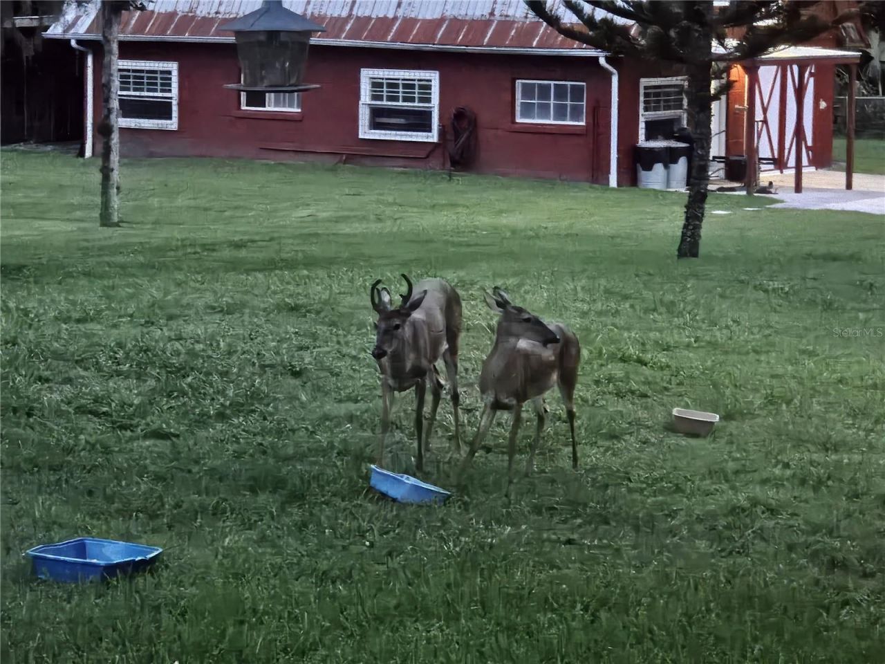 Please Call For Address, Orlando, FL 32828 Photo