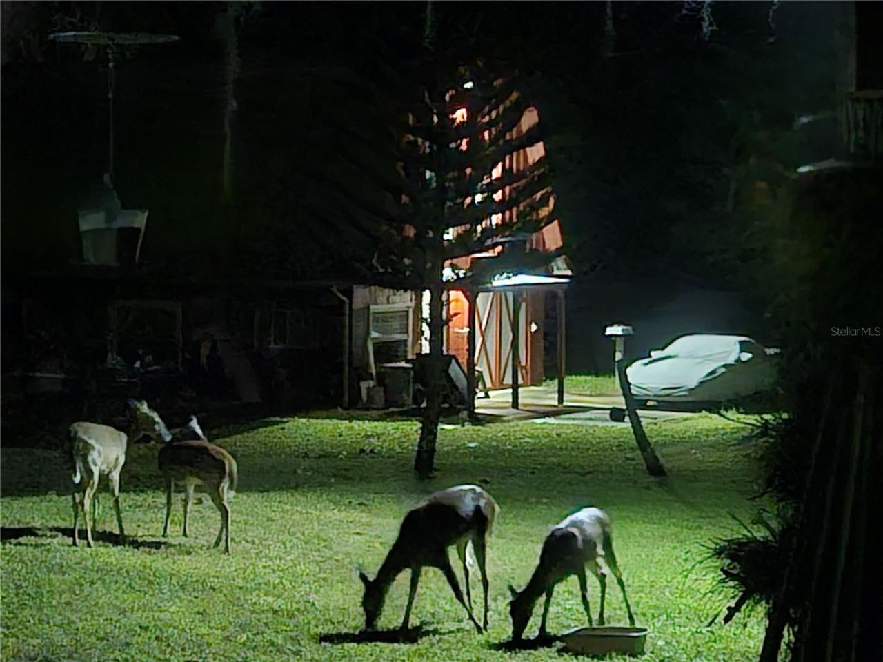 Please Call For Address, Orlando, FL 32828 Photo