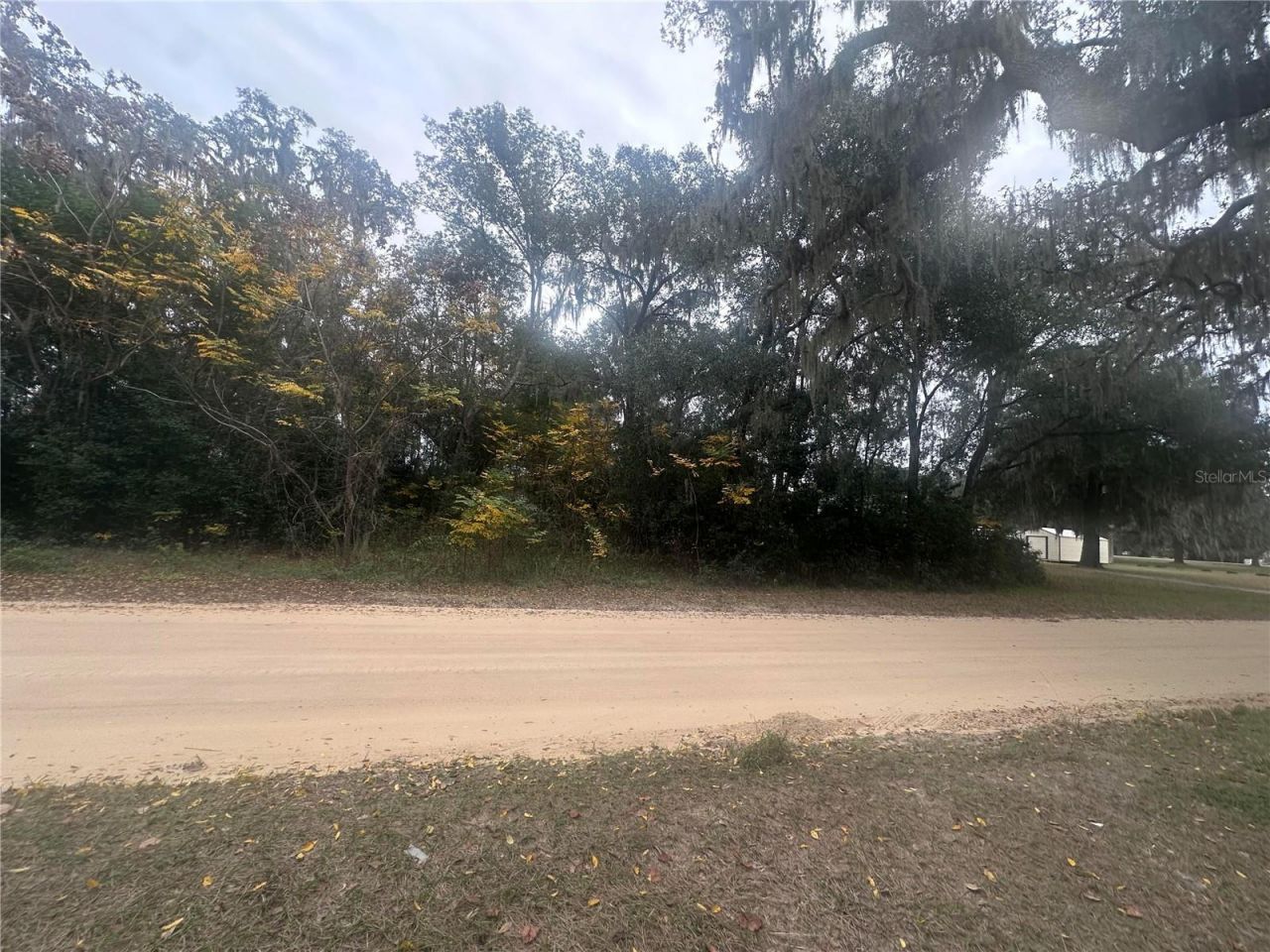 Sr-19, Altoona, FL 32702 Photo