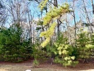 5472 Altamaha Drive Photo 36