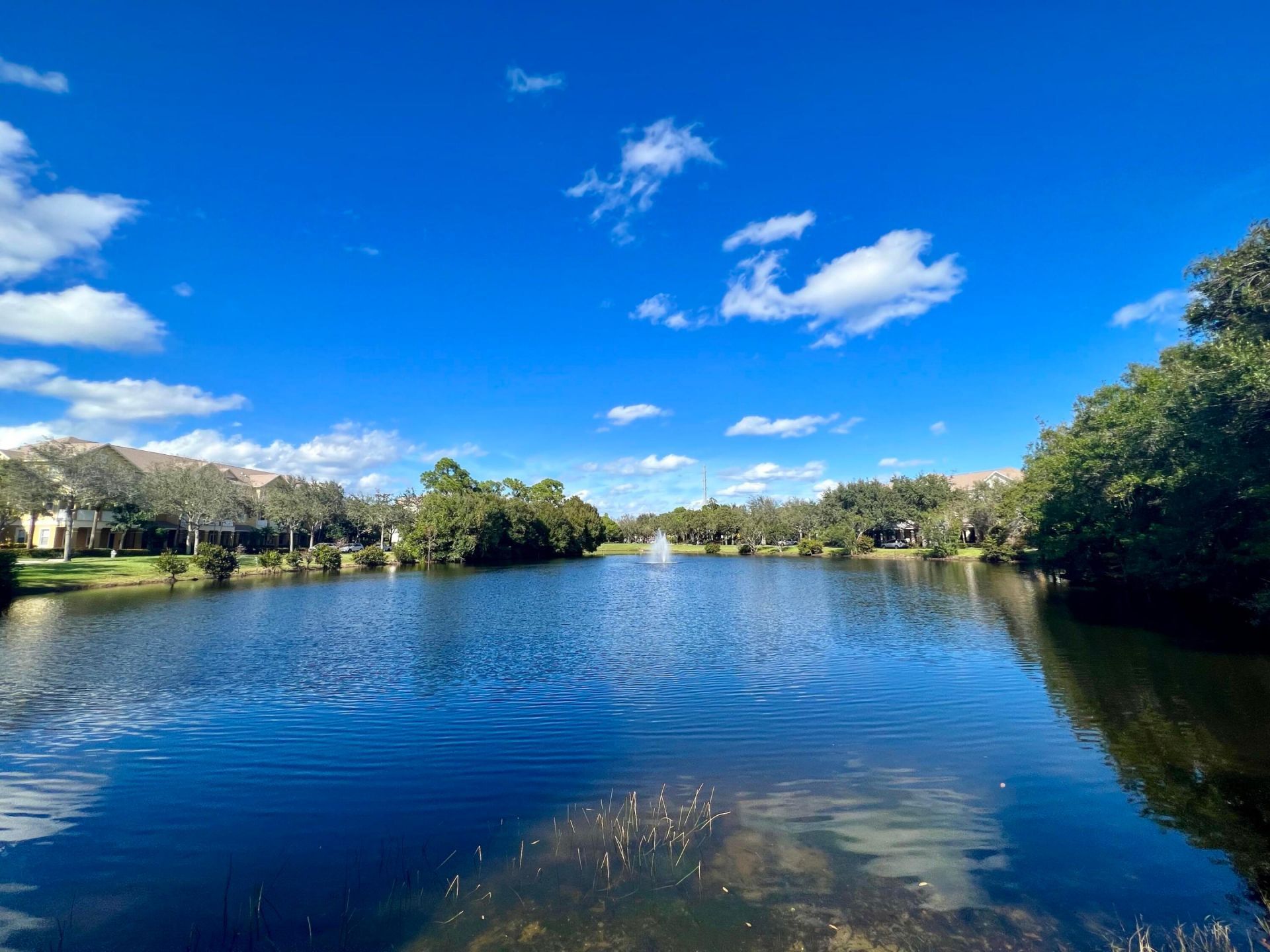 238 W Thatch Palm Circle, Jupiter, FL 33458 Photo