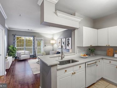 4560 STRUTFIELD LANE, Unit 1110, ALEXANDRIA, VA 22311