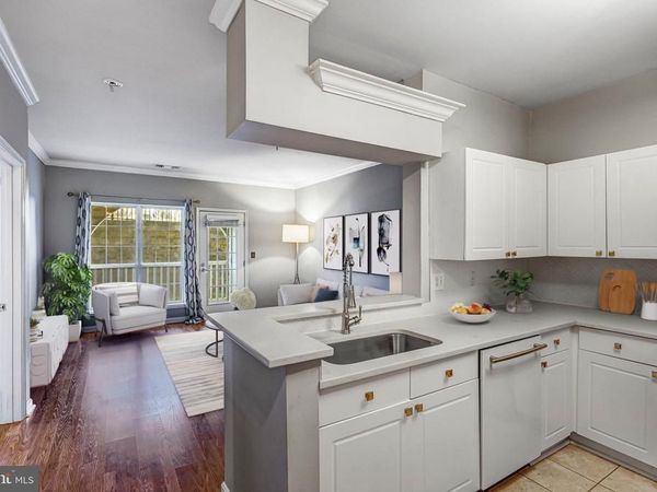 4560 STRUTFIELD LANE, Unit 1110, ALEXANDRIA, VA 22311