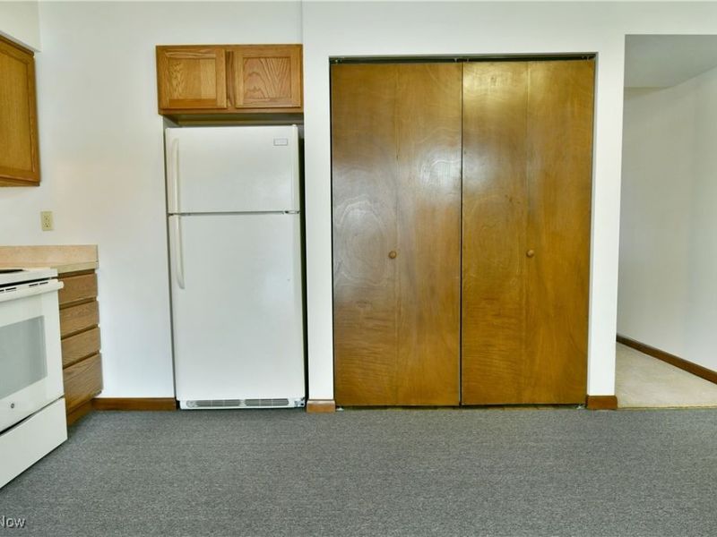 723 Lakeview Drive, Cortland, OH 44410 Photo 13