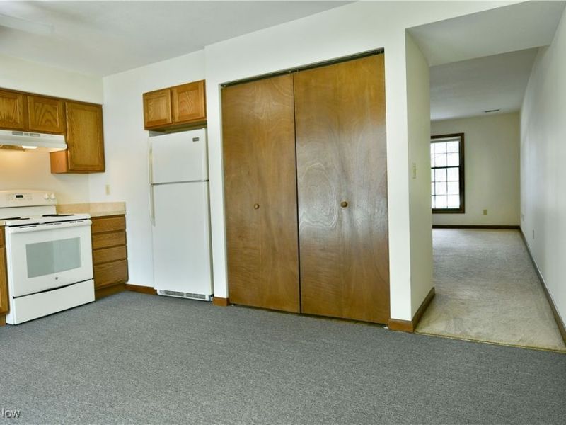 723 Lakeview Drive, Cortland, OH 44410 Photo 14