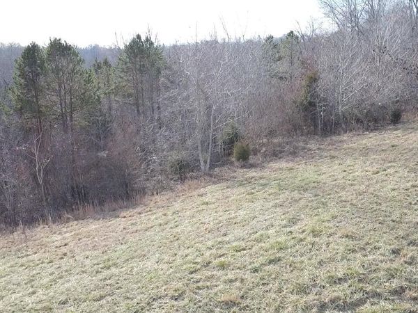 516 Cedar Gate Lane, LaFollette, TN 37766
