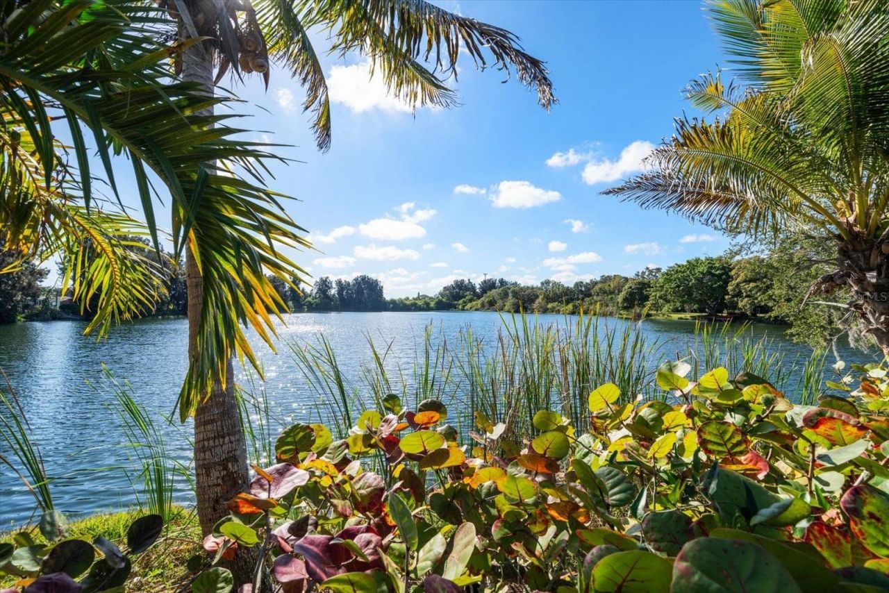 2402 Pine Hammock, Clearwater, FL 33764 Photo