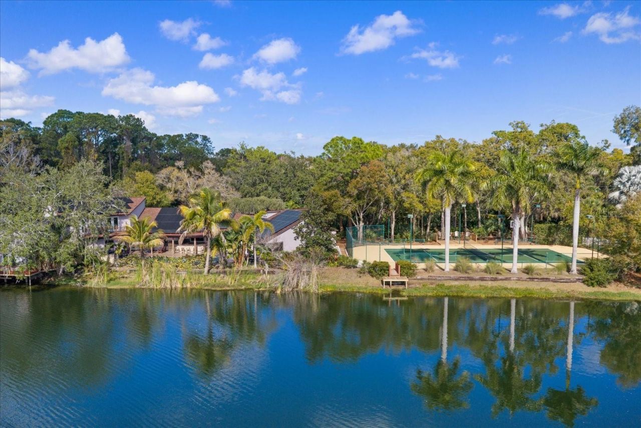 2402 Pine Hammock, Clearwater, FL 33764 Photo