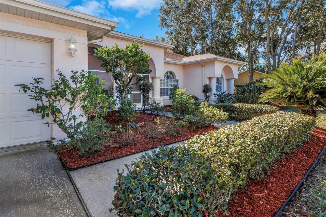 1518 Fishing Lake Drive, Odessa, FL 33556 Photo