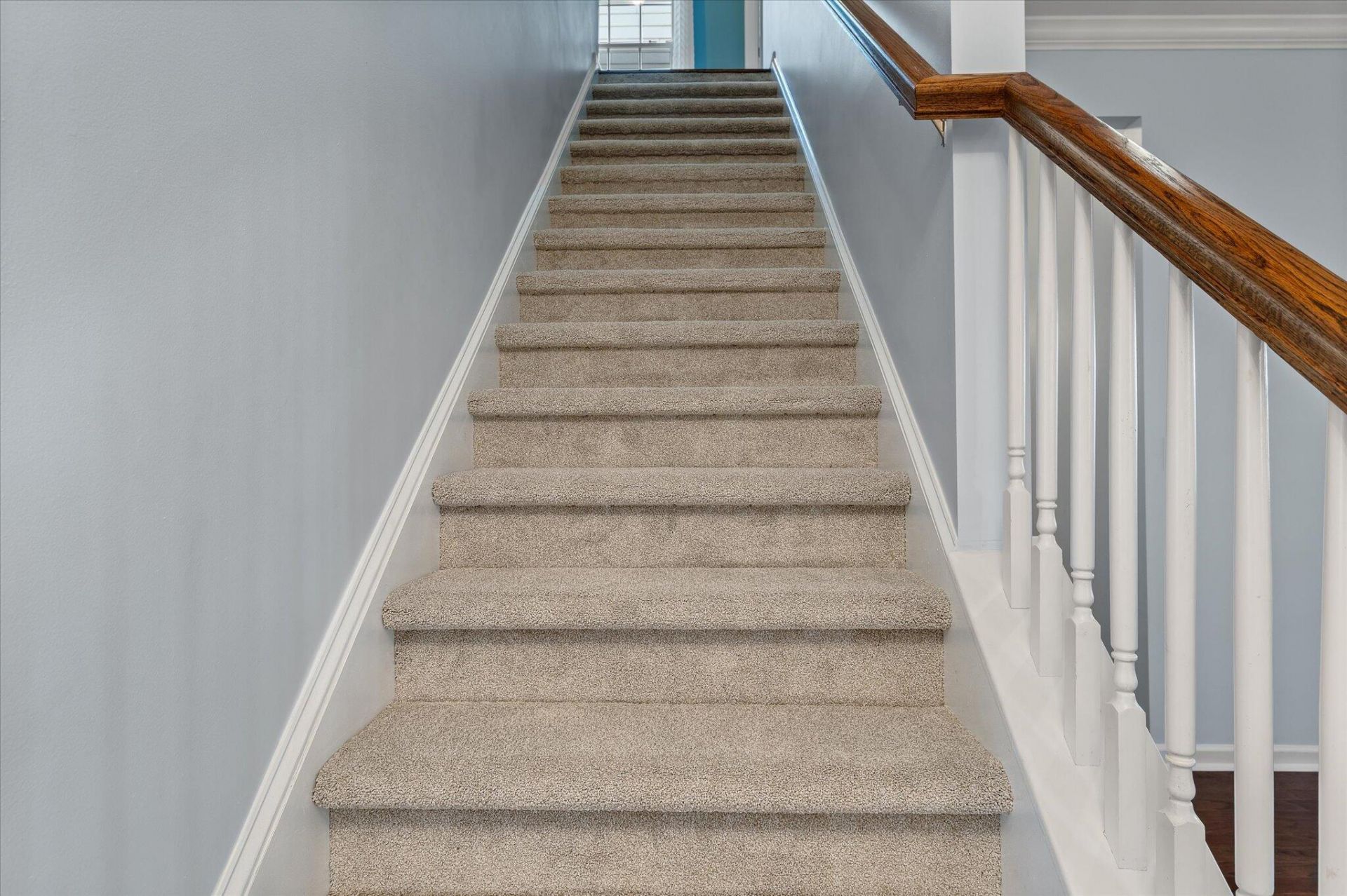 517 Nelliefield Trail Photo 29