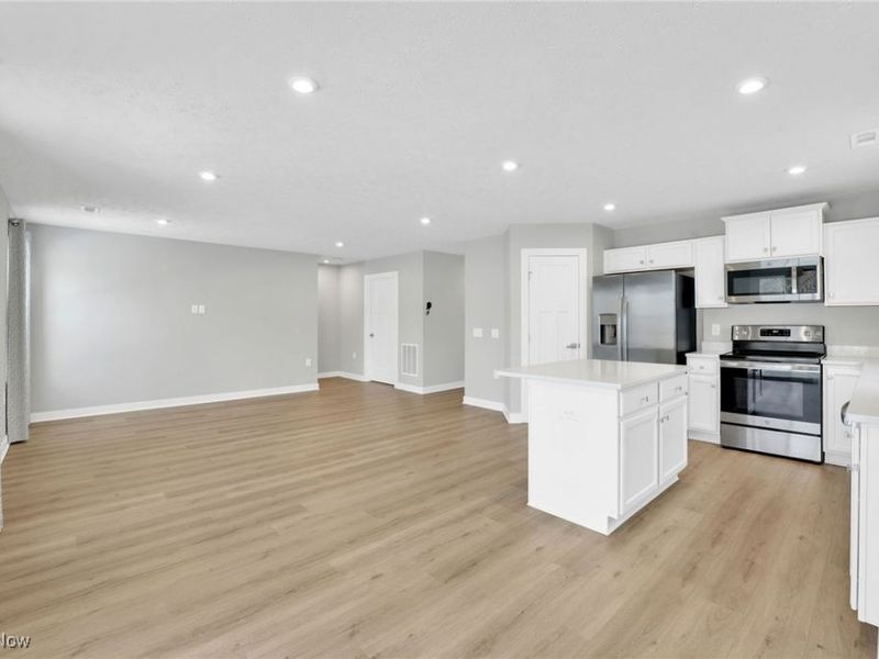 113 W Spring Drive, Elyria, OH 44035 Photo 12