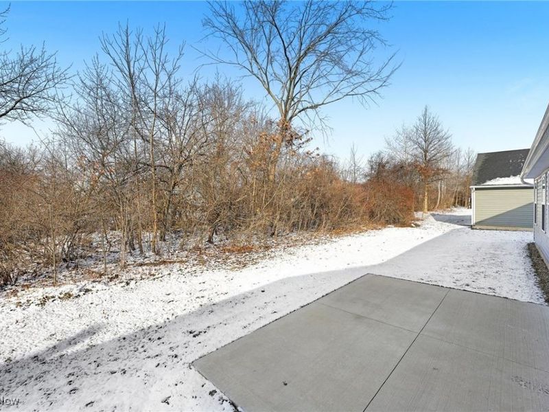 113 W Spring Drive, Elyria, OH 44035 Photo 26