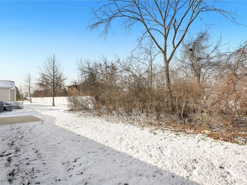 113 W Spring Drive, Elyria, OH 44035 Photo 28