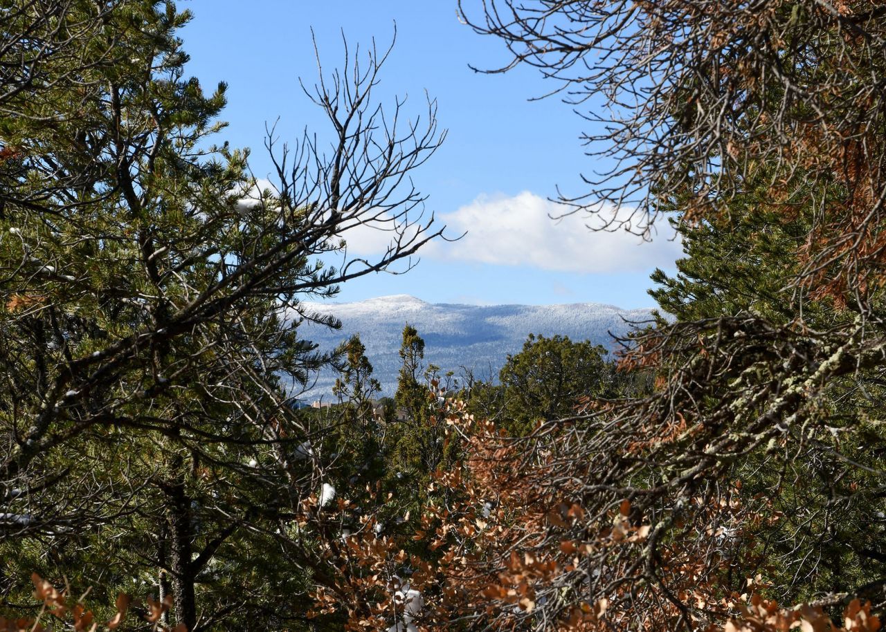 Magic Valley Road, Sandia Park, NM 87047 Main Photo