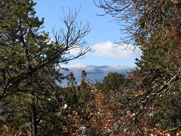 Magic Valley Road, Sandia Park, NM 87047