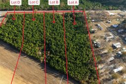 000 Ranger Drive photo 4