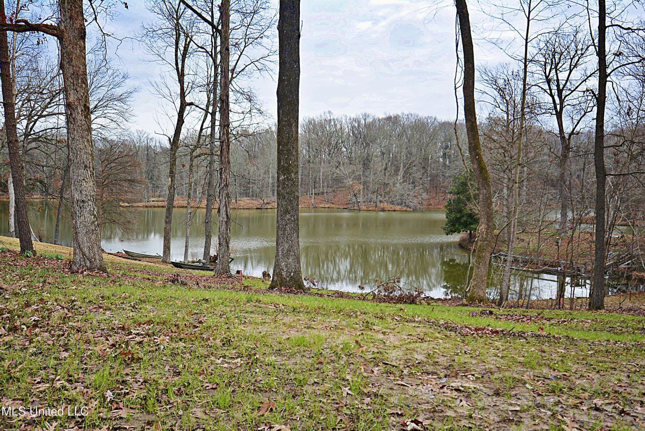 5360 Sportsman Drive, Nesbit, MS 38651 Main Photo