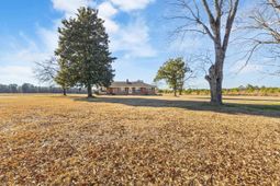 3923 Fair Bluff Hwy. photo 4