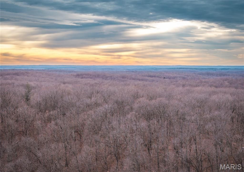 000 Forest Service Road 2284, Bourbon, MO 65441 Main Photo