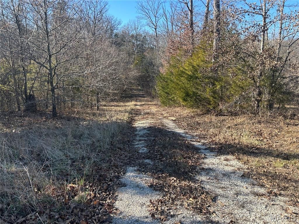 1029 Birch Drive, Lonedell, MO 63060 Main Photo