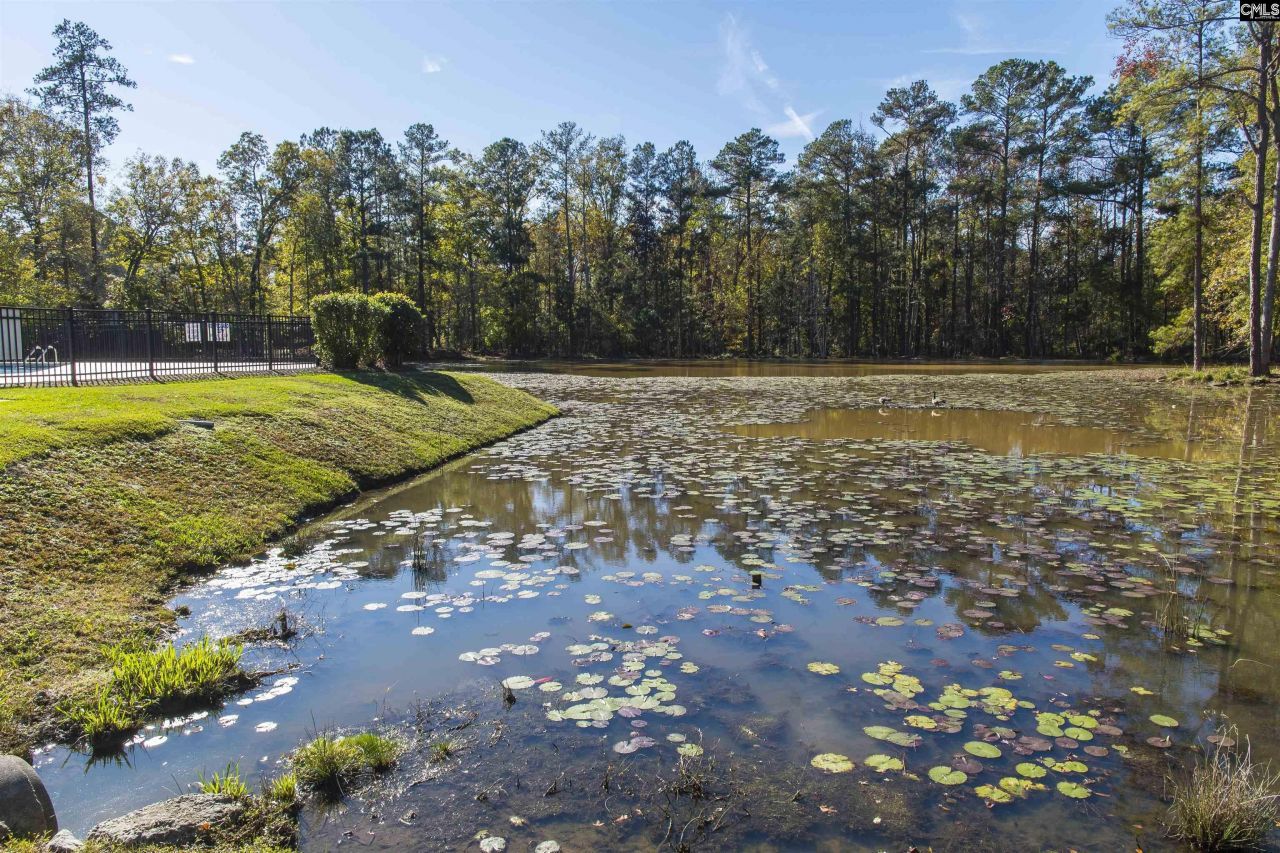 102 Roundtree Road  Photo 54