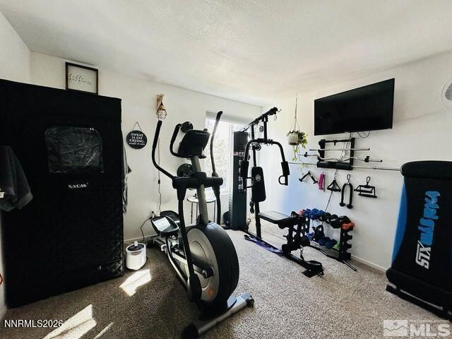 3940 Pheasant Drive, Carson City, NV 89701 Photo