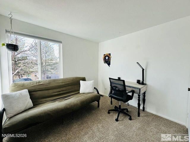 3940 Pheasant Drive, Carson City, NV 89701 Photo