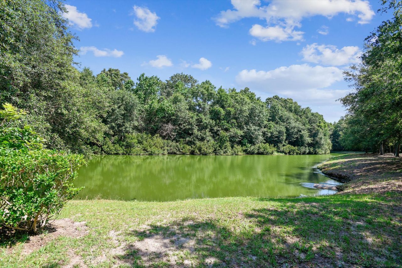 1025 Riverland Woods Place Photo 60