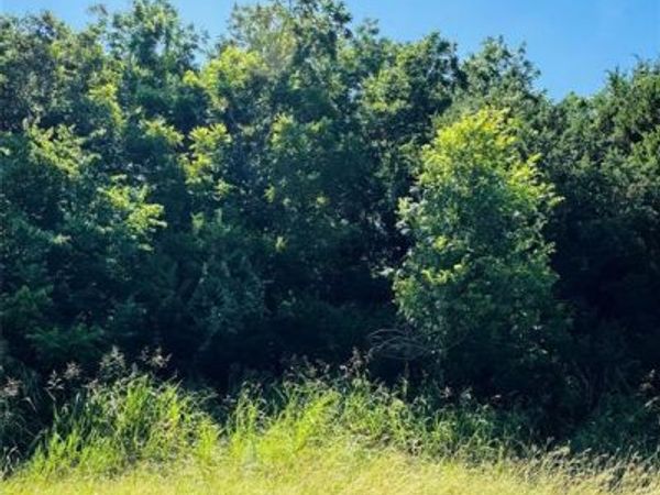1277 Paint Brush Court, Whitney, TX 76692