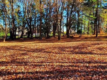 1616 MEADOW LANE, GLEN MILLS, PA 19342