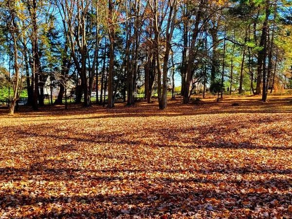 1616 MEADOW LANE, GLEN MILLS, PA 19342