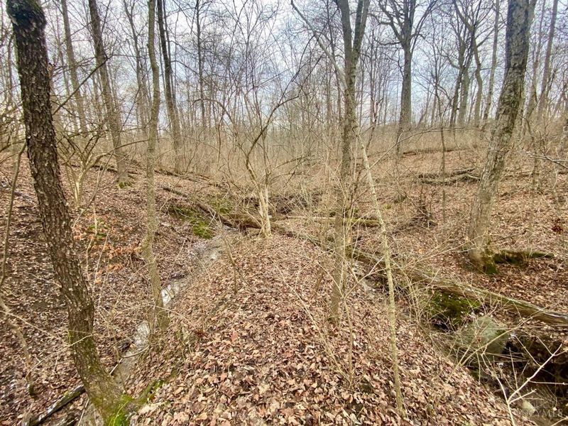 Ac Sabina Road, Fairfield Twp, OH 45135 Photo 10