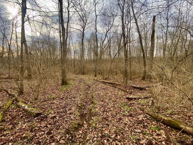 Ac Sabina Road, Fairfield Twp, OH 45135 Photo 12