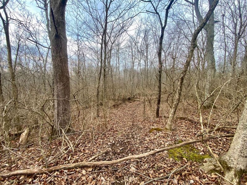 Ac Sabina Road, Fairfield Twp, OH 45135 Photo 19