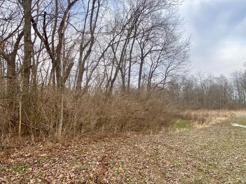 Ac Sabina Road, Fairfield Twp, OH 45135 Photo 6