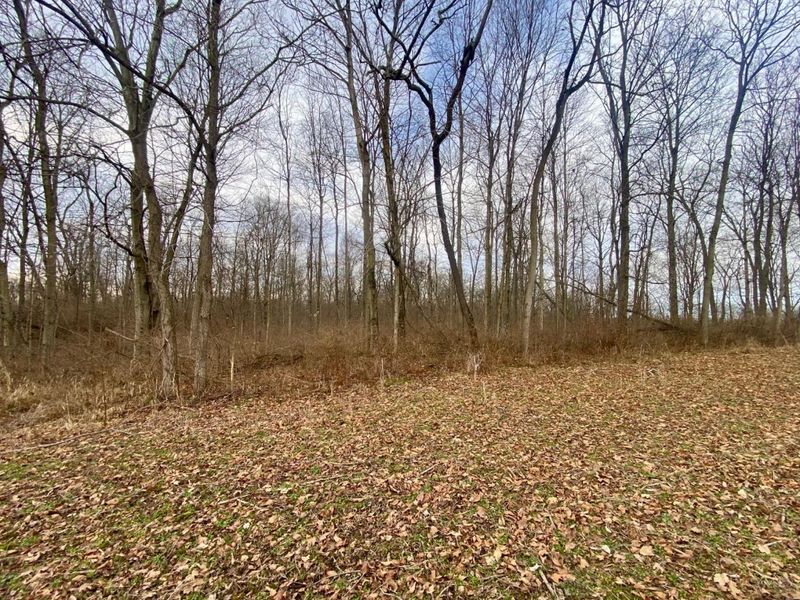 Ac Sabina Road, Fairfield Twp, OH 45135 Photo 8