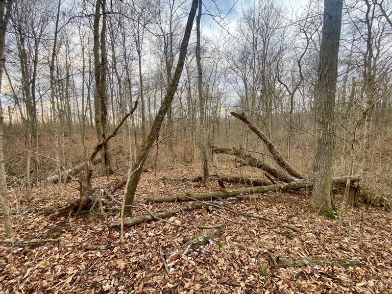 Ac Sabina Road, Fairfield Twp, OH 45135 Photo 9