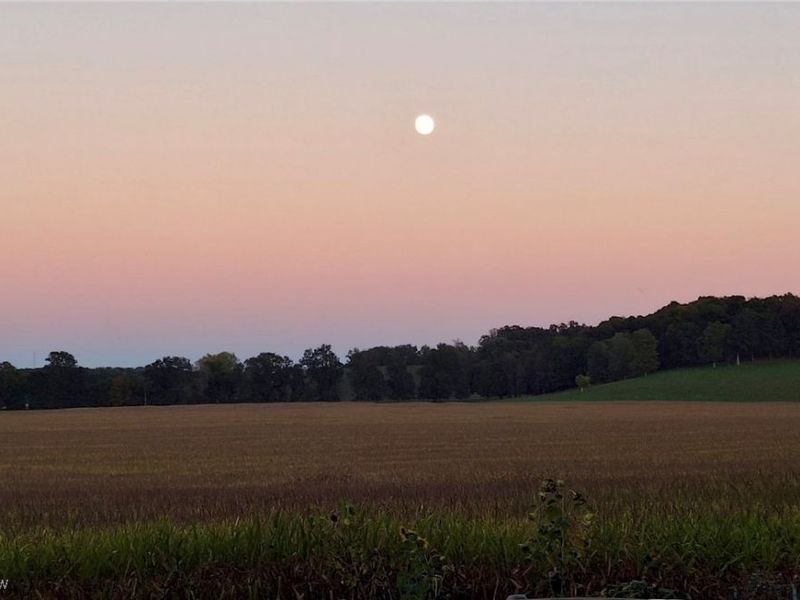 8087 Magnet Road NE, Minerva, OH 44657 Photo 16