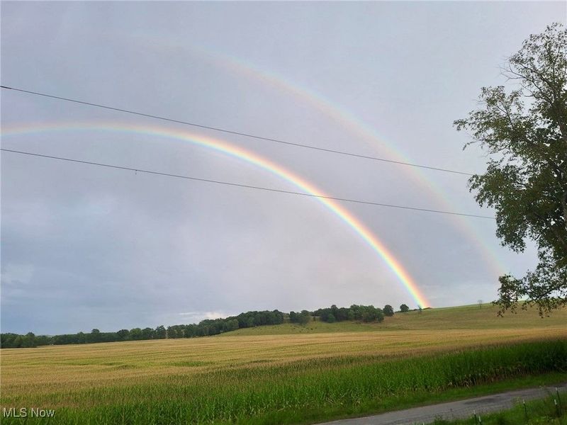 8087 Magnet Road NE, Minerva, OH 44657 Photo 19